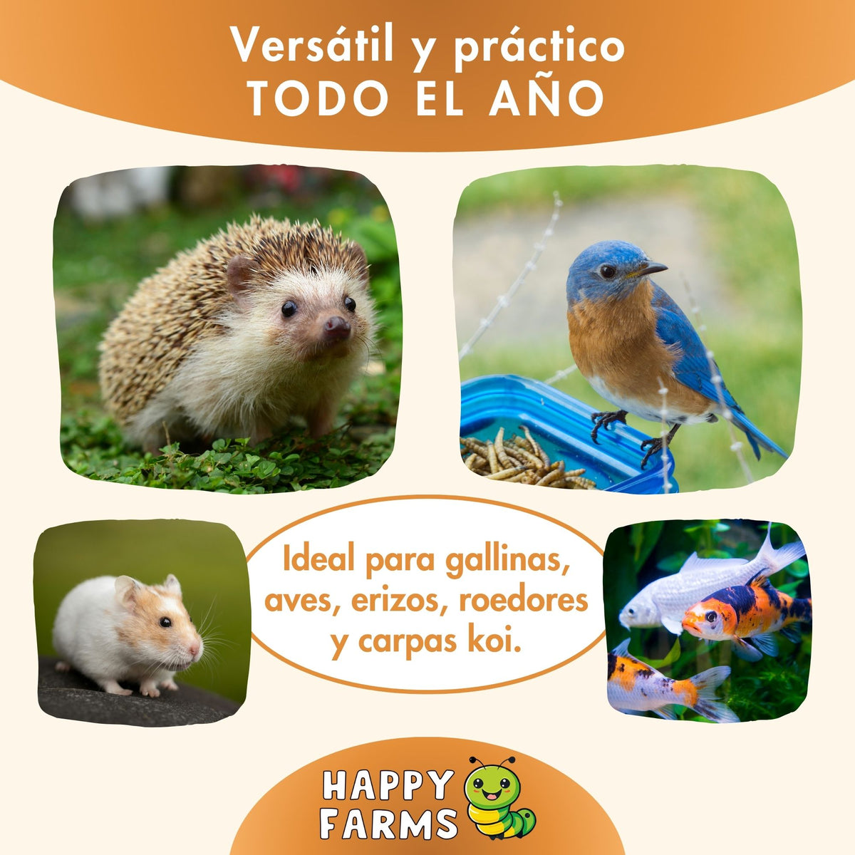 Gusanos de la harina deshidratados Happy Farms – imagen informativa del producto