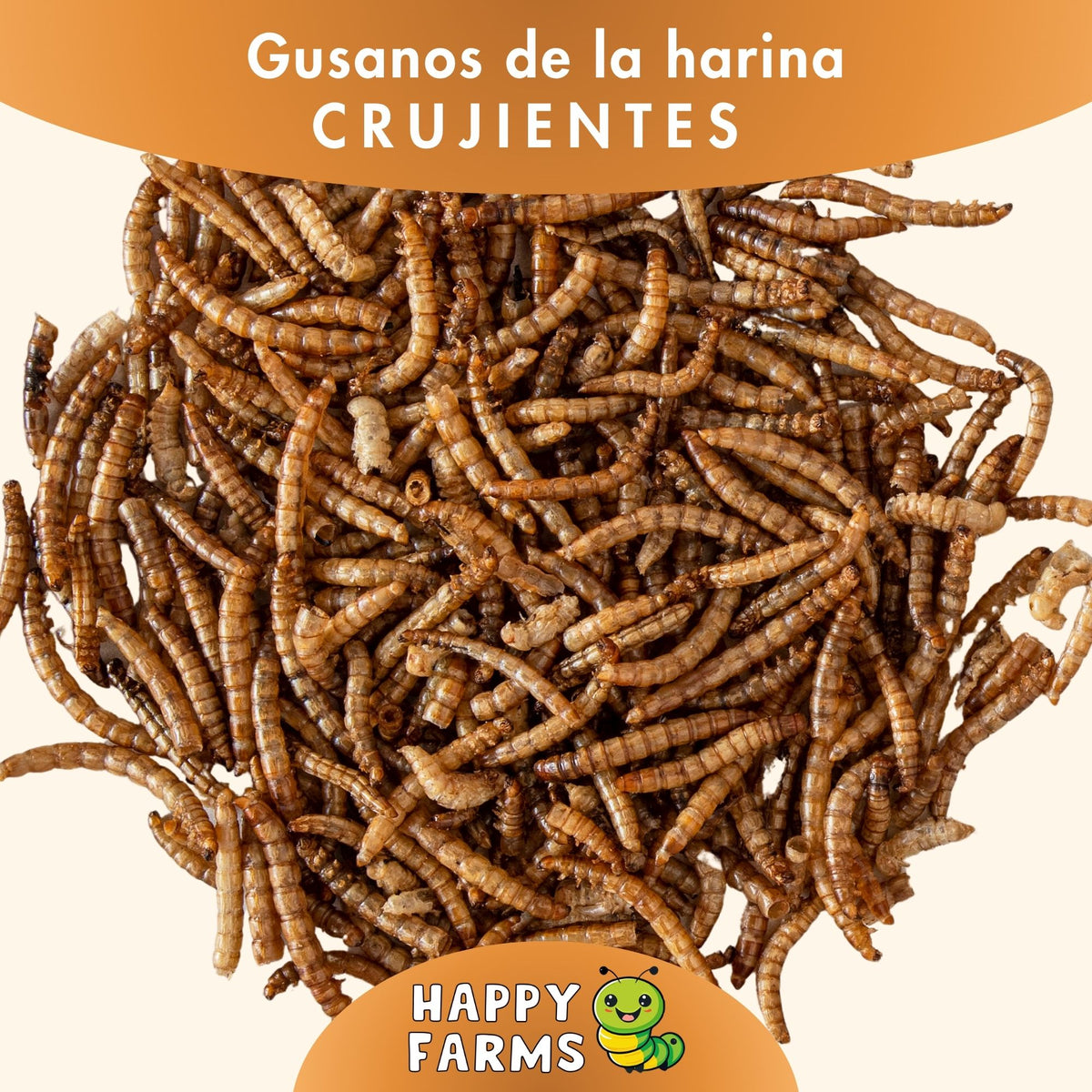 Gusanos de la harina deshidratados Happy Farms – imagen informativa del producto