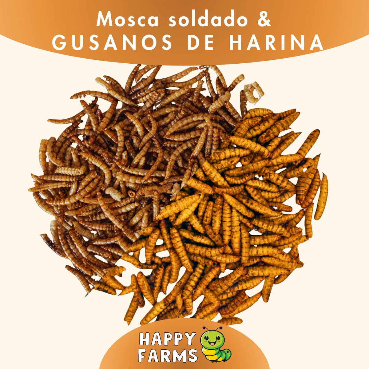 Mezcla de insectos deshidratados Happy Farms – imagen informativa del producto