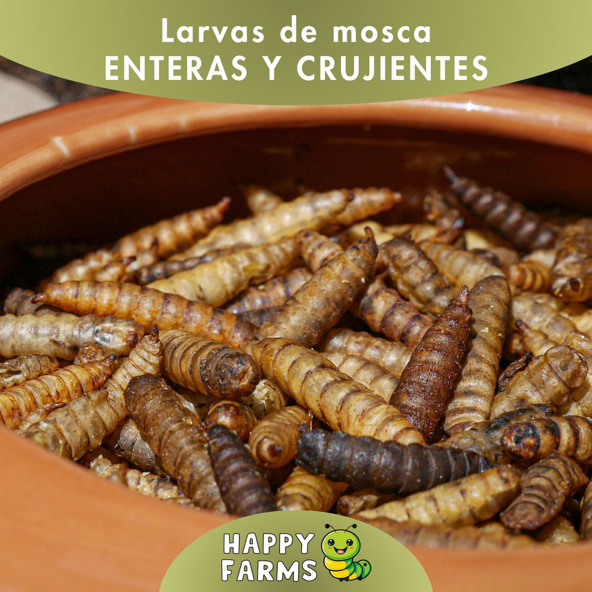 Larvas de mosca soldado negra deshidratadas Happy Farms – imagen informativa del producto